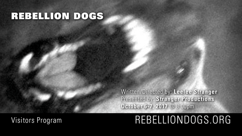 800x450 Rebellion Dogs